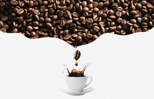 为什么选择精品咖啡 品质、体验与服务的全新定义