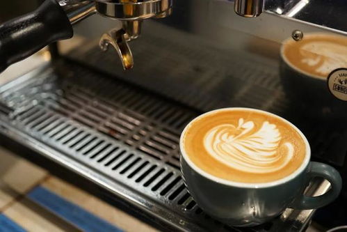 商业咖啡豆与精品咖啡豆 品质与服务的双重差异